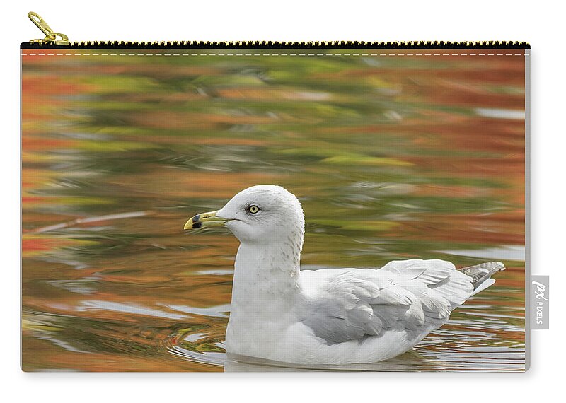 Birds Zip Pouch featuring the photograph Riding On A Rainbow by Ron Dubreuil