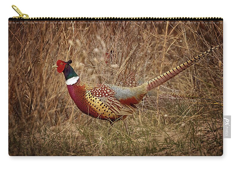 Pheasants Zip Pouch featuring the photograph Ring Necked Pheasant by Susan Rissi Tregoning
