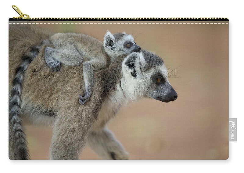 Ring-tailed Lemur Mom And Baby Carry-all Pouch by Cyril Ruoso - Animals and  Earth - Website