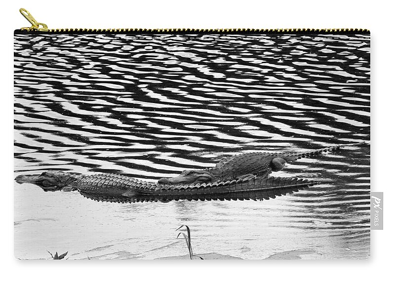 Aligator Zip Pouch featuring the photograph Ripped Aligators by Farol Tomson