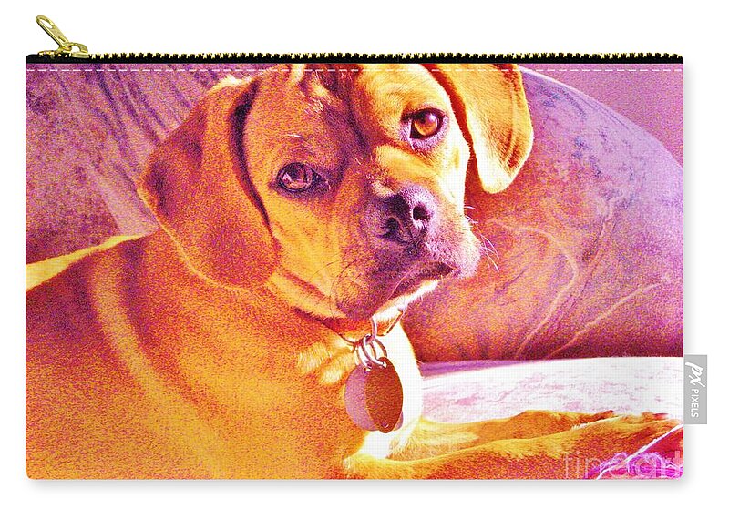 Dog Zip Pouch featuring the photograph Ripple by Susan Carella