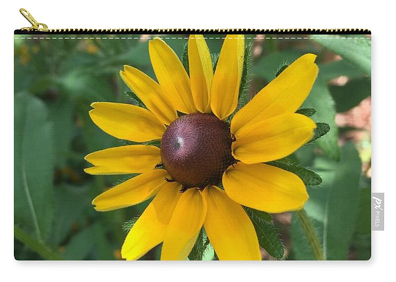 Sunflower Zip Pouch featuring the photograph Rise and Shine by Pamela Henry