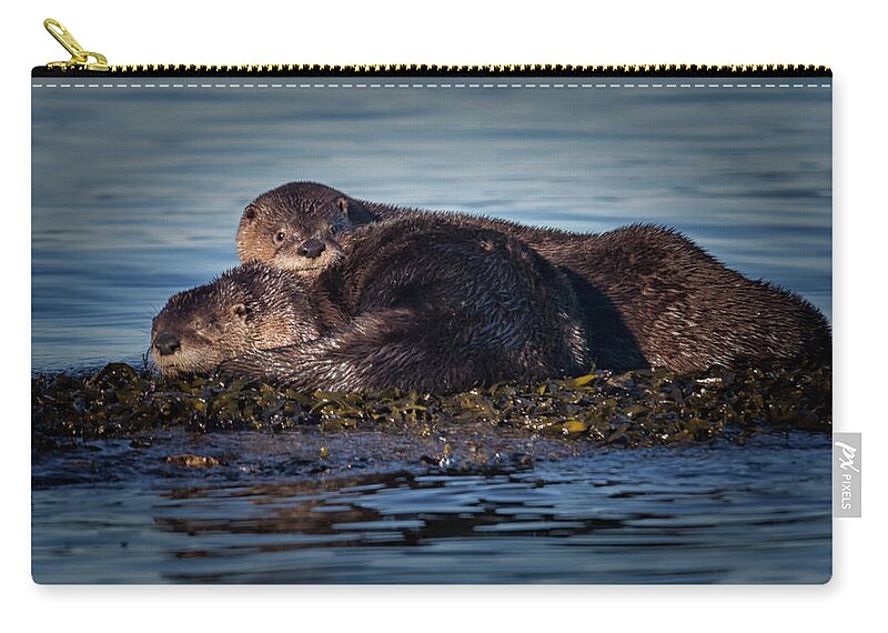 River Otter Zip Pouch featuring the photograph River Otters by Randy Hall