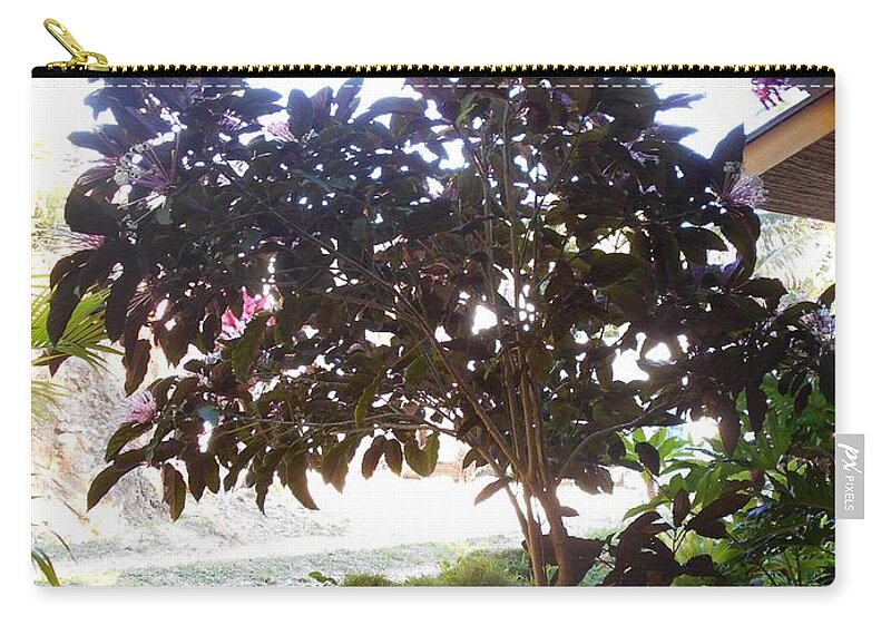 Roatan Carry-all Pouch featuring the photograph Roatan tree by Nancy Graham
