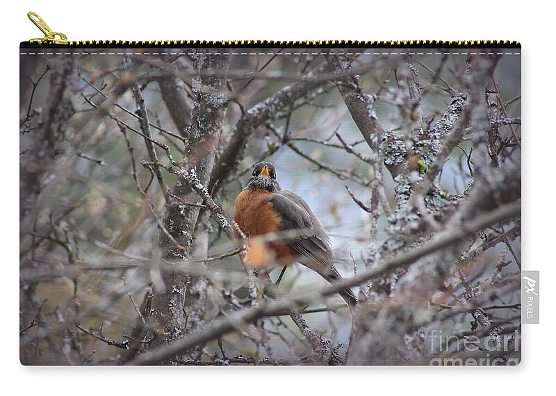 Robin Zip Pouch featuring the photograph Robin by Leone Lund