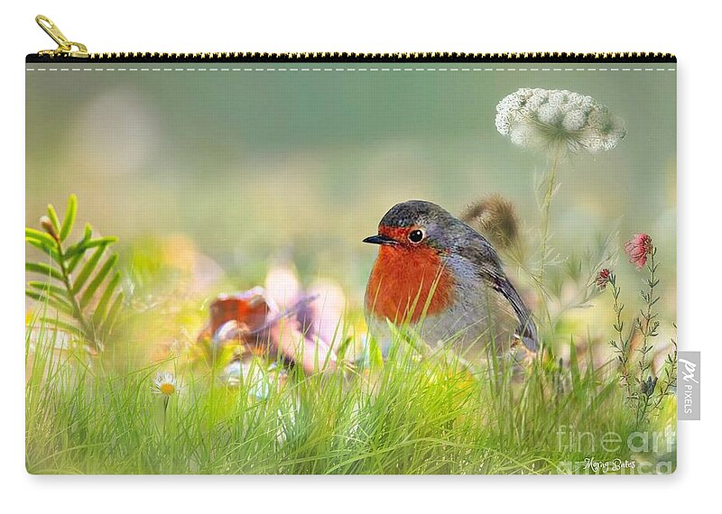 Robin Zip Pouch featuring the mixed media Robin Red Breast by Morag Bates