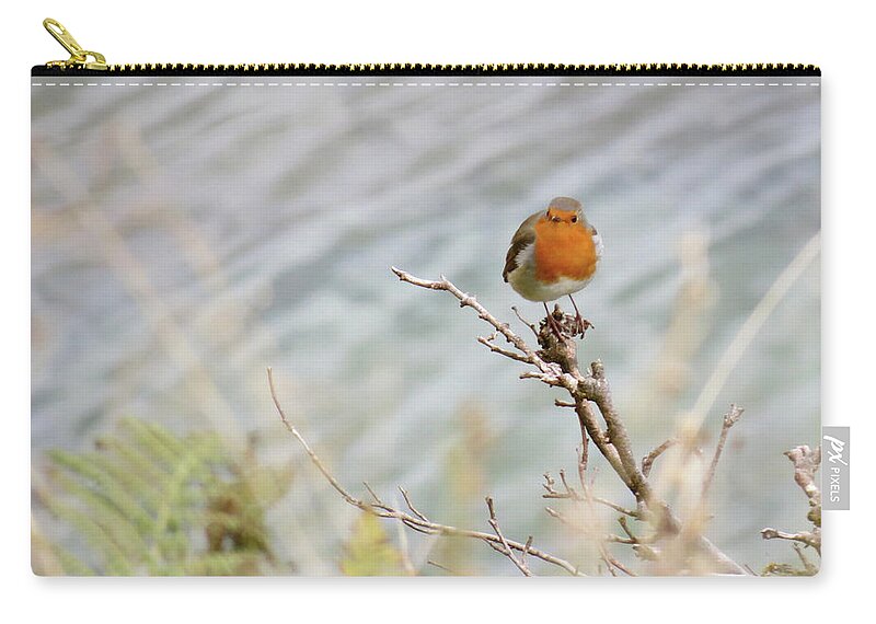 Scotland Zip Pouch featuring the photograph Robin Resting by Azthet Photography