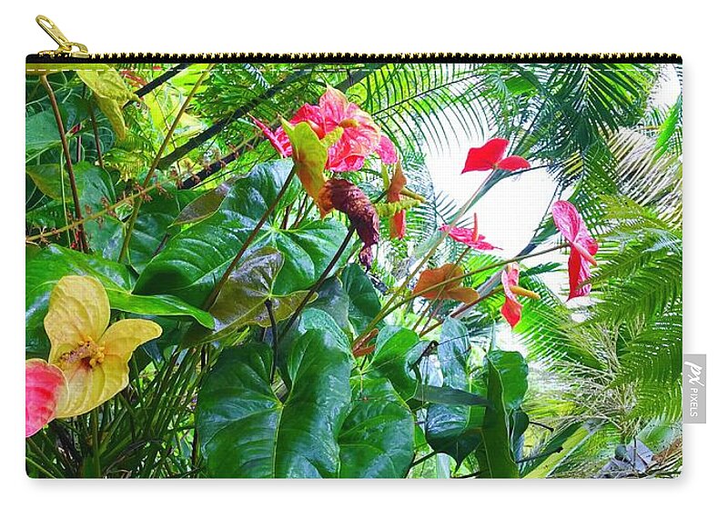 #flowersofaloha #flowers # Flowerpower #aloha #hawaii #aloha #puna #pahoa #thebigisland #anthuriums #ferns Zip Pouch featuring the photograph Robins Garden with Anthuriums and Ferns by Joalene Young