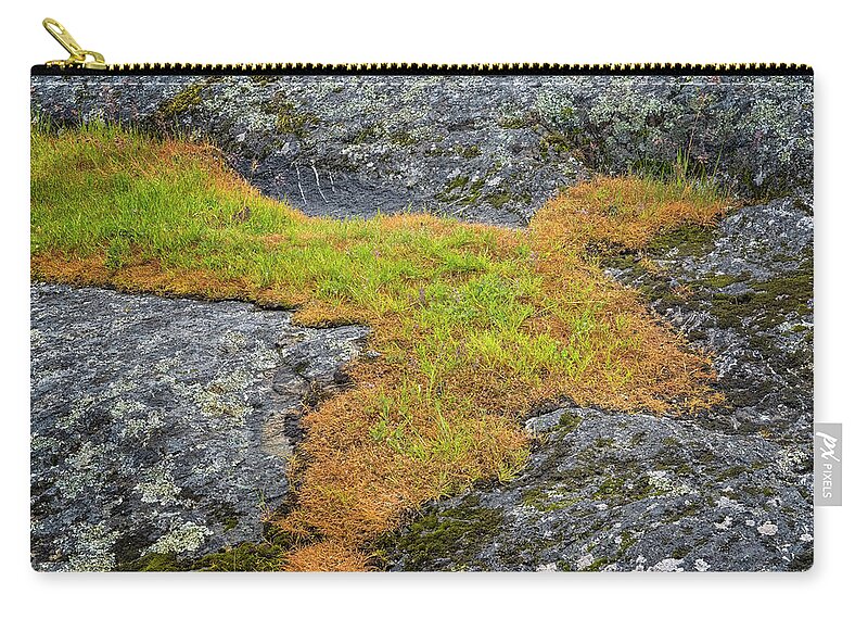 Oregon Coast Carry-all Pouch featuring the photograph Rock And Grass by Tom Singleton