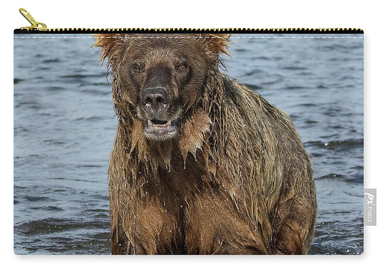 Alaska Zip Pouch featuring the photograph Rogue Bear by Cheryl Strahl