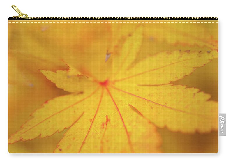 Jenny Rainbow Fine Art Photography Zip Pouch featuring the photograph Romance with Autumn. Japanese Maple Leaves 9 by Jenny Rainbow
