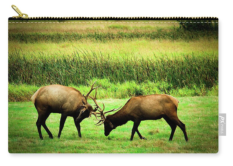 Roosevelt Elk Zip Pouch featuring the photograph Roosevelt Elk by Dr Janine Williams