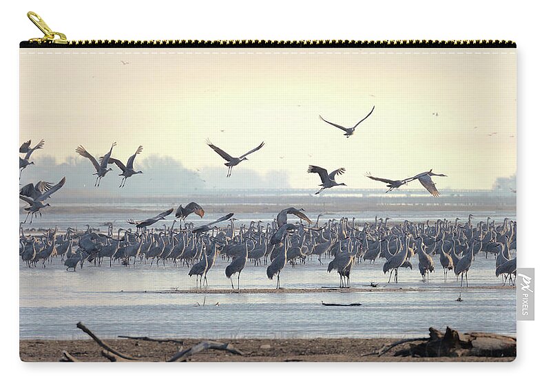 Sandhill Cranes Zip Pouch featuring the photograph Roosting on the Platte by Susan Rissi Tregoning
