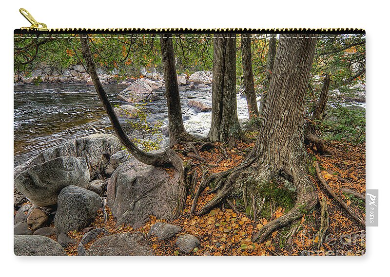 Canada Zip Pouch featuring the photograph Roots by Doug Gibbons