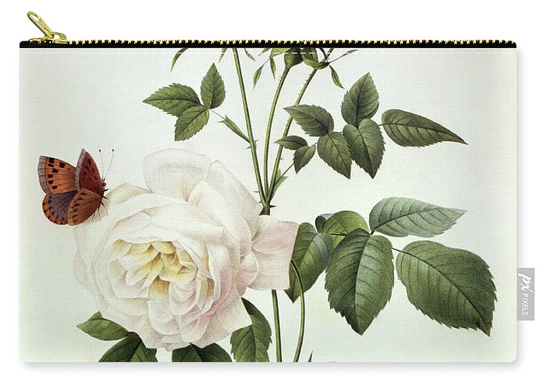 Rosa Carry-all Pouch featuring the painting Rosa Bengale the Hymenes by Pierre Joseph Redoute
