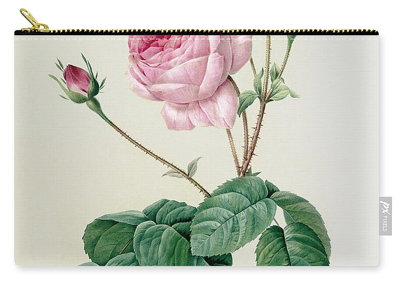 Rosa Carry-all Pouch featuring the drawing Rosa Centifolia Bullata by Pierre Joseph Redoute