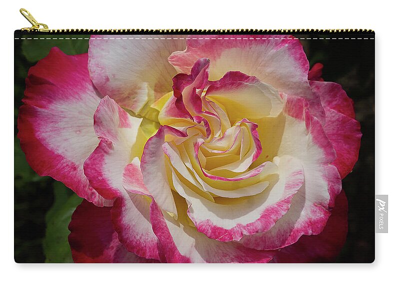Nature Zip Pouch featuring the photograph Rose Beauty by Shirley Mitchell