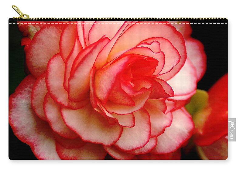 Flowers Zip Pouch featuring the photograph Rose by Ben Upham III