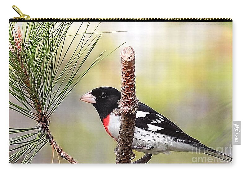 Peggy Franz Zip Pouch featuring the photograph Rose Breasted Grosbeak Birds by Peggy Franz