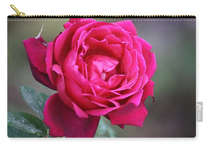 Floral Zip Pouch featuring the photograph Rose by Donna Walsh
