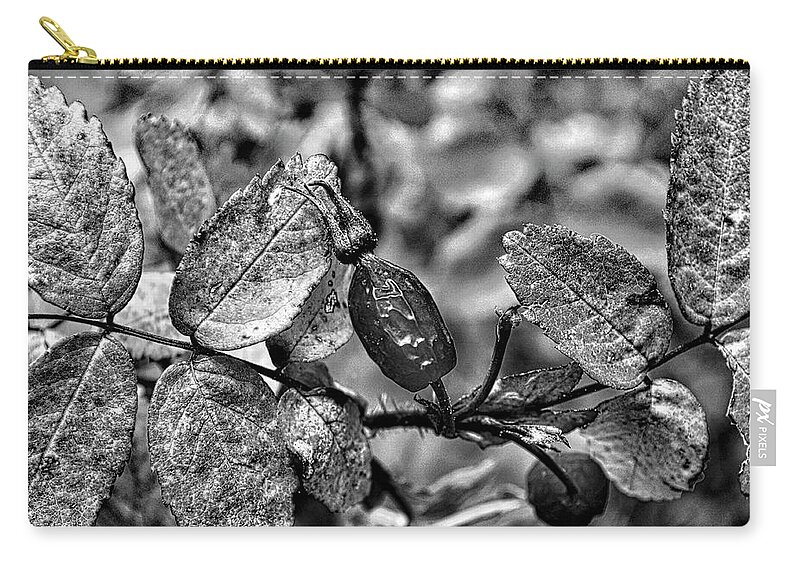 Rosehip Zip Pouch featuring the photograph Rose Hip Monochrome by Cathy Mahnke