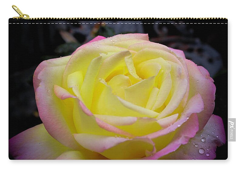 Rose Zip Pouch featuring the photograph Rose by Dr Janine Williams
