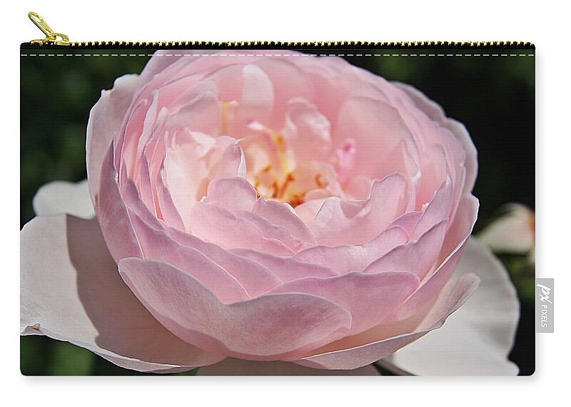 Rose Zip Pouch featuring the photograph Rose K by Joe Faherty