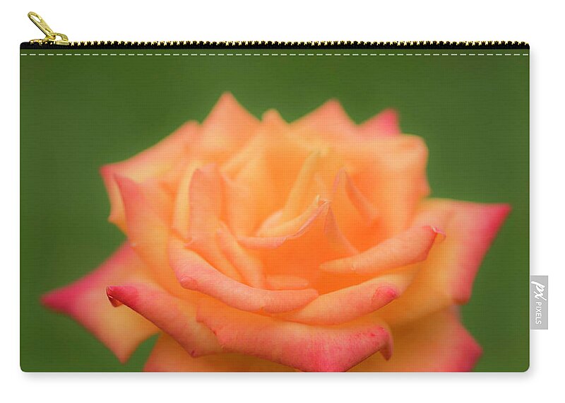 Rose Carry-all Pouch featuring the photograph Rose by Kathy Paynter