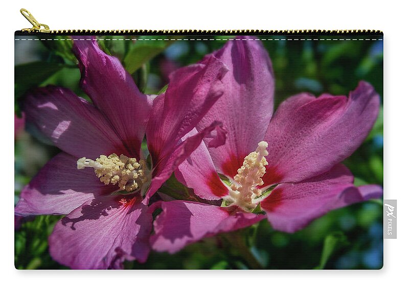 Flowers Zip Pouch featuring the photograph Rose of Sharon Hibiscus by Garry McMichael