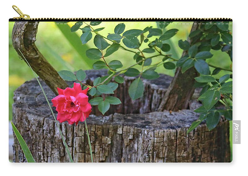 Rose On Wood Carry-all Pouch featuring the photograph Rose on Wood by PJQandFriends Photography