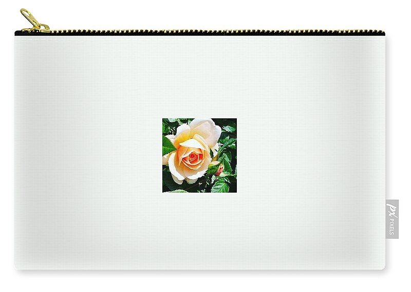 Rose.pink.green.flower.love Zip Pouch featuring the photograph Rose1 by Ayaka Sagawa