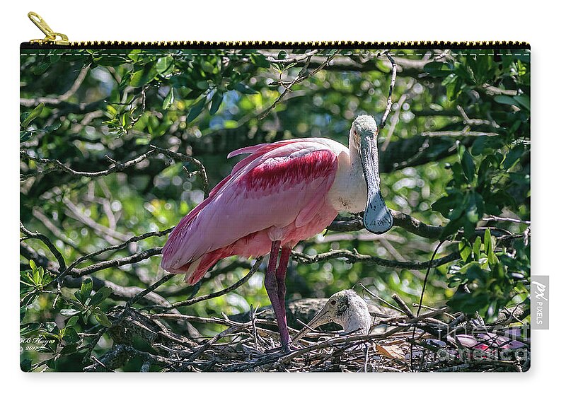 Birds Zip Pouch featuring the photograph Roseate Spoonbill and Chick by DB Hayes