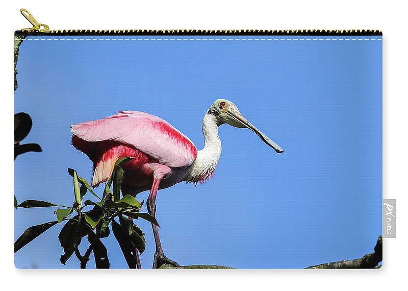  Zip Pouch featuring the photograph Roseate Spoonbill by Laura Lien