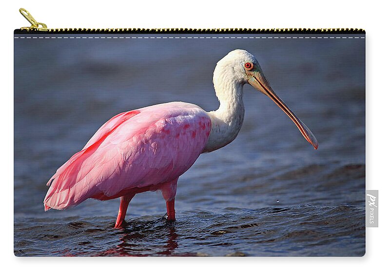 Bird Zip Pouch featuring the photograph Roseate Spoonbill, Myakka River State park, Florida by Gary Corbett