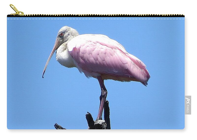 Birds Zip Pouch featuring the photograph Roseate Spoonbill on Perch by Ellen Meakin