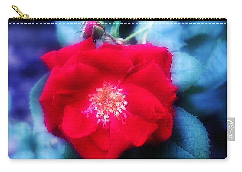 Red Zip Pouch featuring the photograph Roses Are Red by Bill Cannon