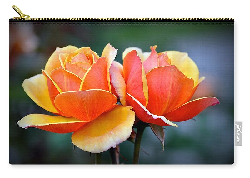 Garden Zip Pouch featuring the photograph Two Roses by Emerita Wheeling