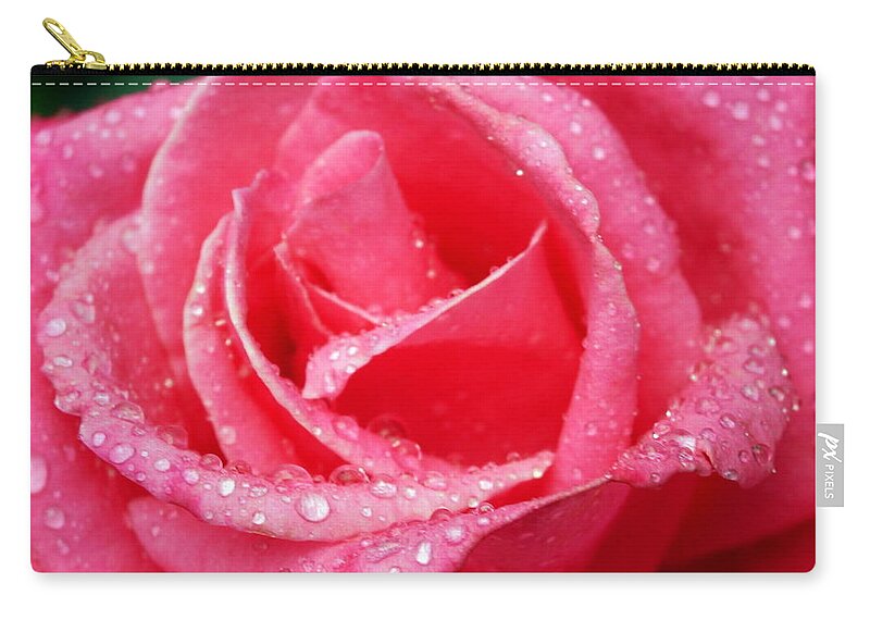 Close Up Zip Pouch featuring the photograph Rosey by Beth Collins