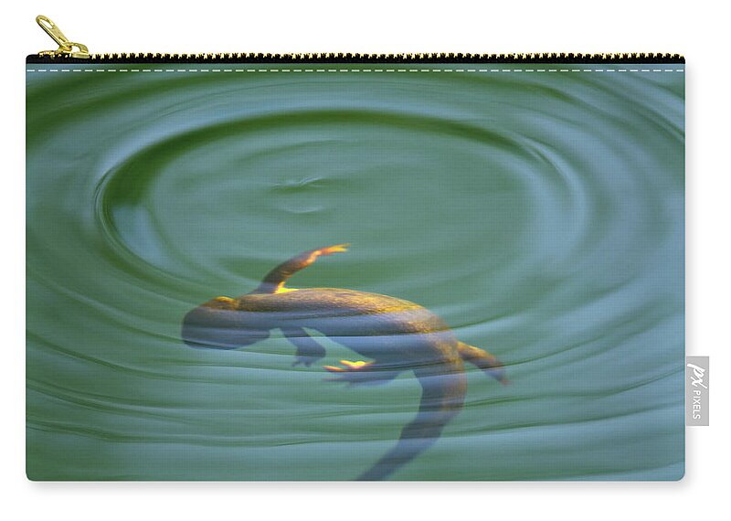 Newt Carry-all Pouch featuring the photograph Rough Skinned Newt by Andrew Kumler