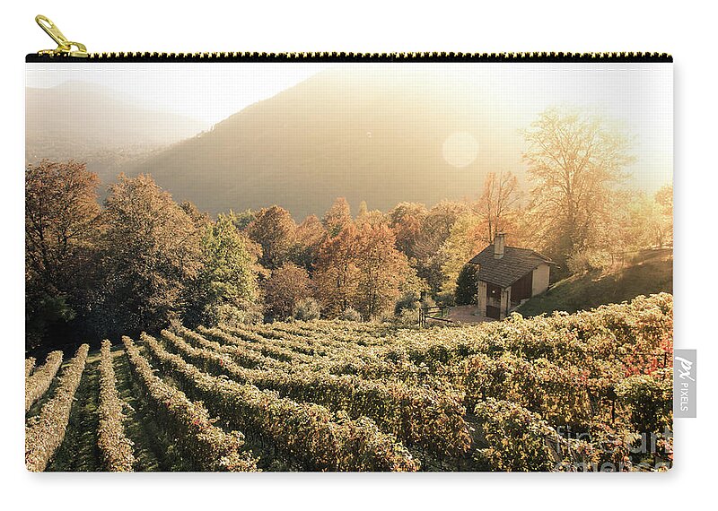 Autumn Carry-all Pouch featuring the photograph Rows of vine in a vineyard in ticino, switzerland at sunset by Amanda Mohler