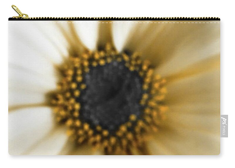 Daisy Zip Pouch featuring the photograph Royal Daisy by Marian Lonzetta