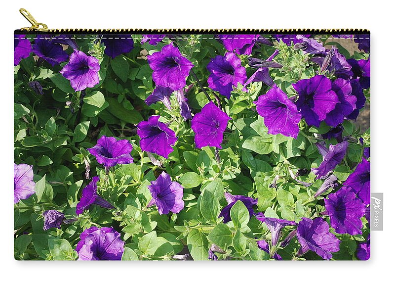 Violet; Purple; Flowers; Plants; Gardening; Garden; Green; Leaves; Groups; Bundles; Purple Bell Flowers; Bell Flowers; Violet Bell Flowers; Violet Flowers; Seasonal; Beauty; Lifestyle; Summer Zip Pouch featuring the photograph Royalty Bells by Ee Photography