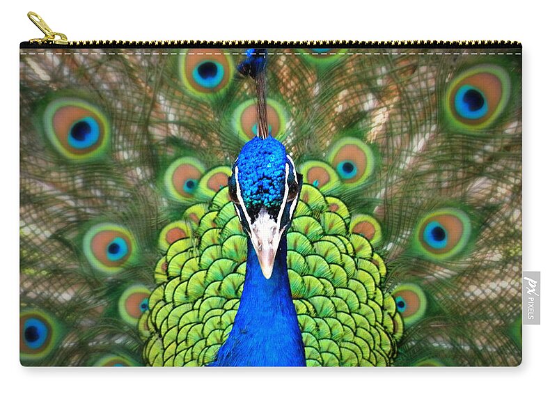 Royalty Zip Pouch featuring the photograph Royalty by Micki Findlay