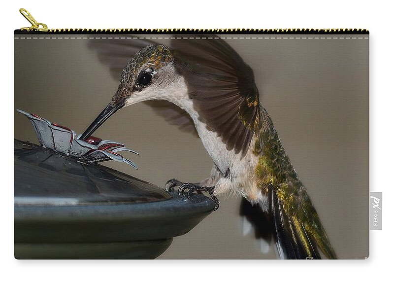 Birds Carry-all Pouch featuring the photograph Ruby - Throated Hummingbird by Steve Brown