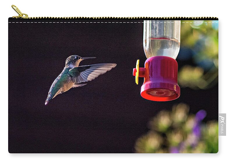 Steve Harrington Zip Pouch featuring the photograph Ruby-throated Hummingbird by Steve Harrington