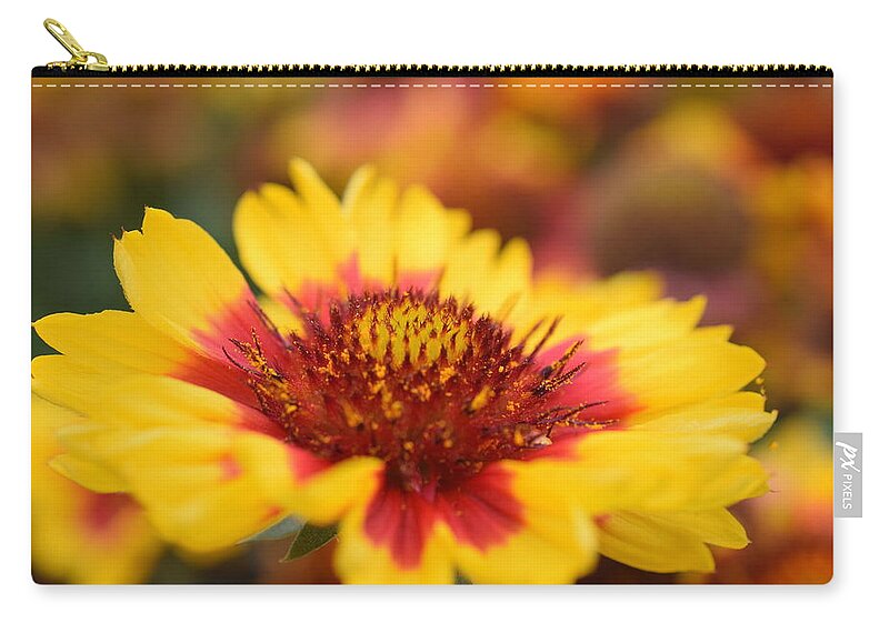 Flower Zip Pouch featuring the photograph Rudbeckia by Jimmy Chuck Smith