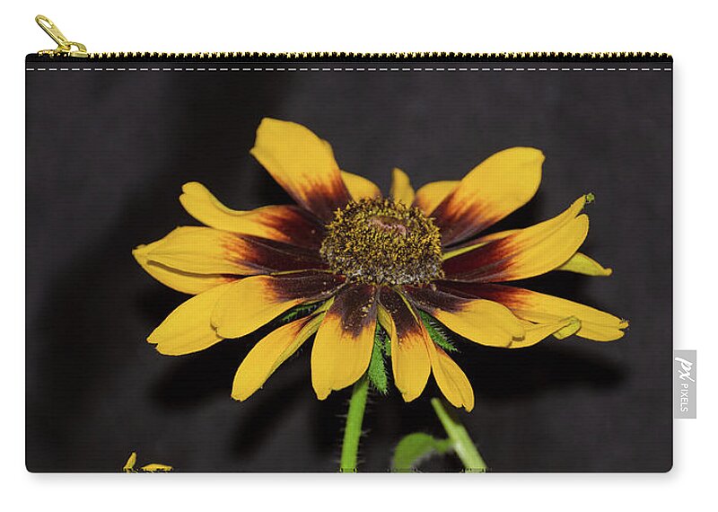 Reflection Zip Pouch featuring the photograph Rudbeckia Reflection by Donna Brown