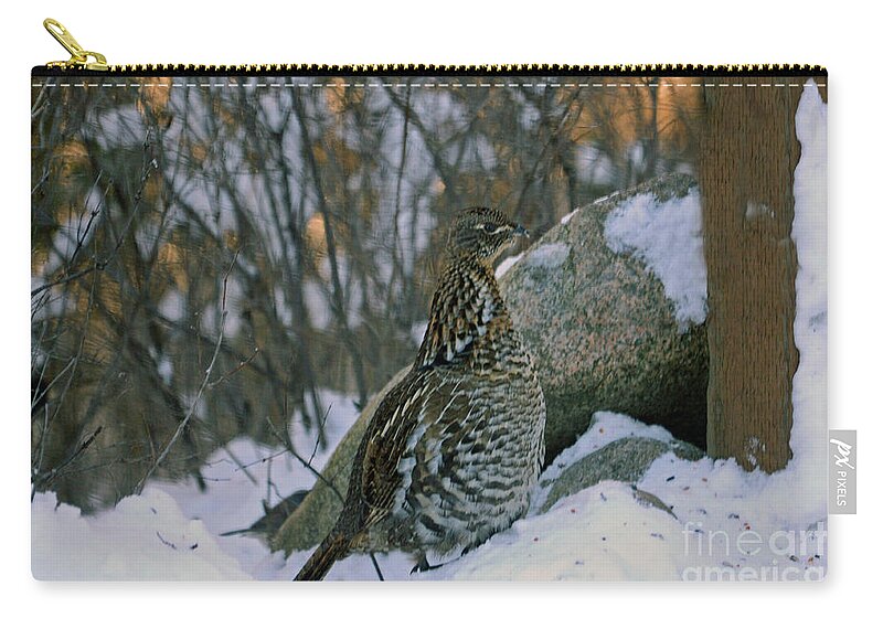 Grouse Zip Pouch featuring the photograph Ruffed Grouse by Cindy Murphy - NightVisions