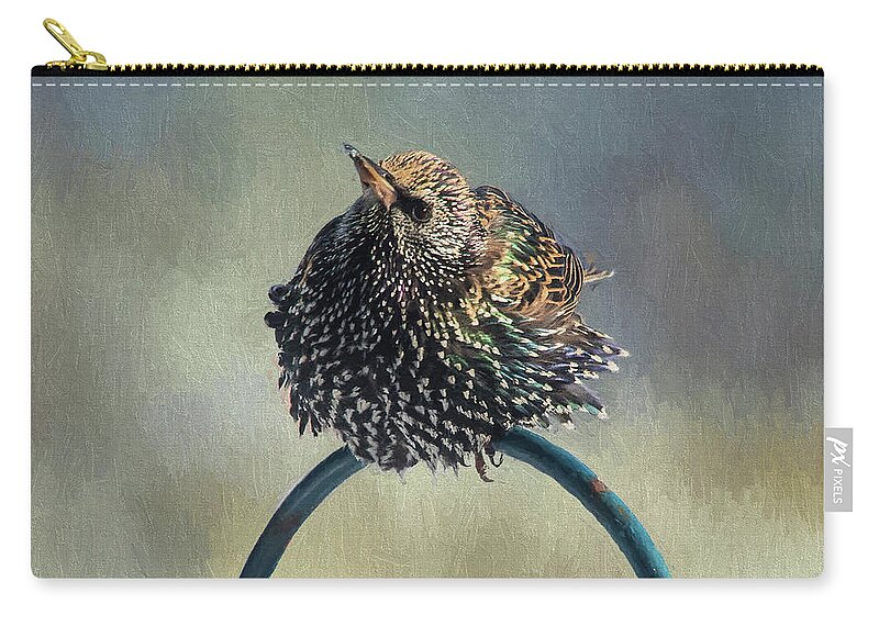 Bird Carry-all Pouch featuring the photograph Ruffled by Cathy Kovarik