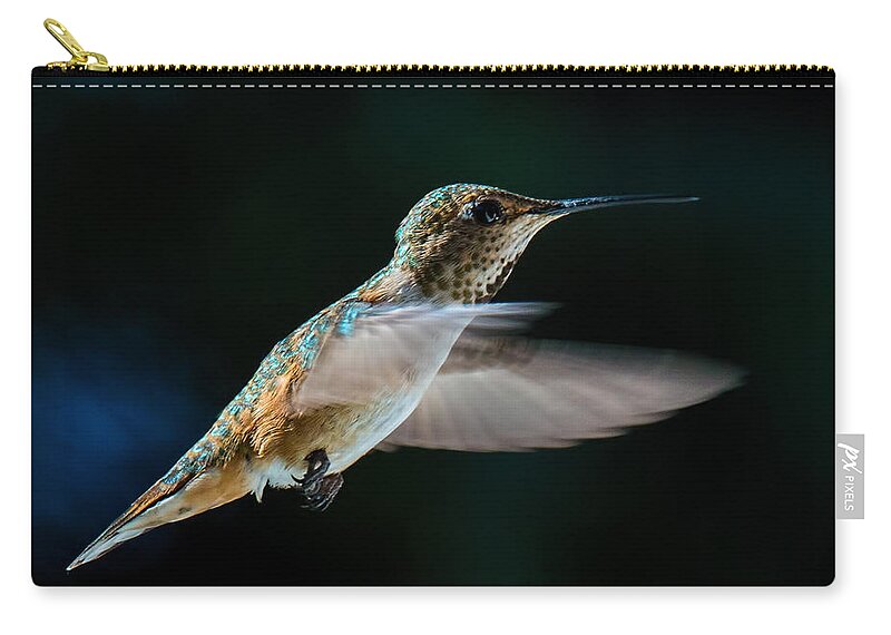 Rufous Hummingbird Zip Pouch featuring the photograph Rufous by Randy Hall
